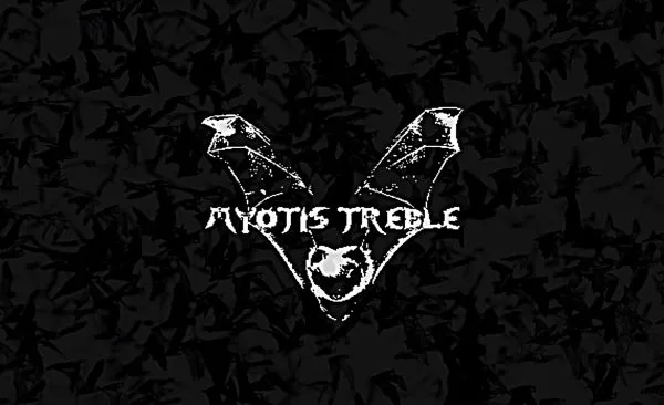 Myotis Treble cover