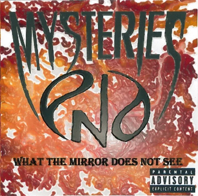 What the Mirror Does Not See cover