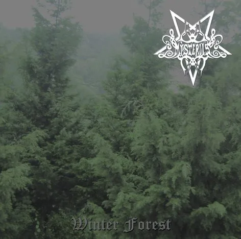Winter Forest cover