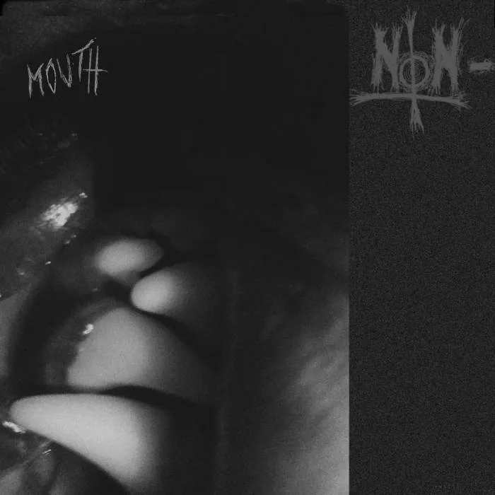 Mouth cover