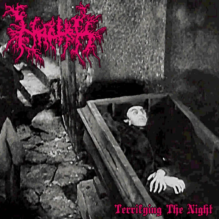 Terrifying the Night cover