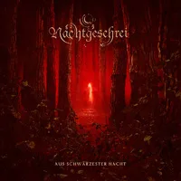 Aus schwärzester Nacht cover