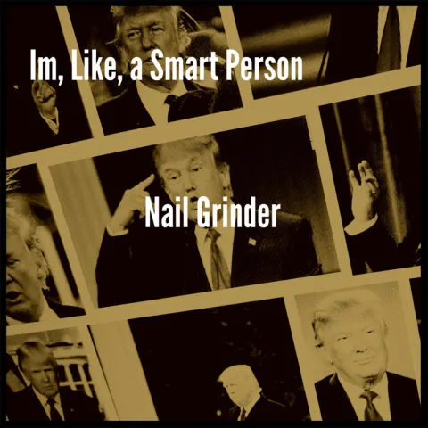 I'm, Like, a Smart Person cover