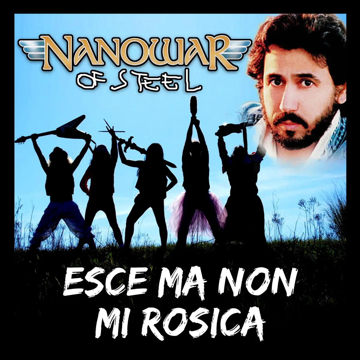 Esce ma non mi rosica (Shahram Shabpareh cover) cover