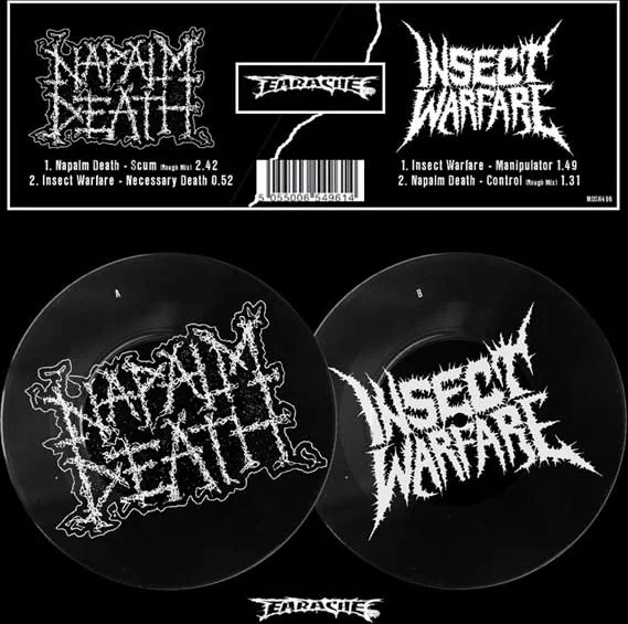 Napalm Death / Insect Warfare cover