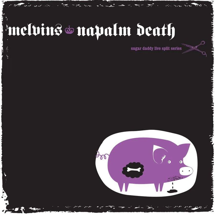 Sugar Daddy Live Split Series 9 cover