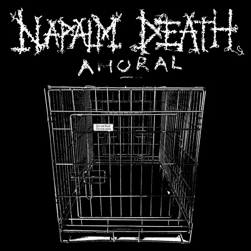 Amoral cover