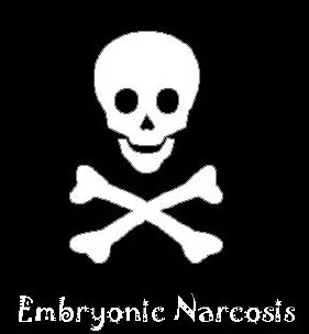 Embryonic Narcosis cover