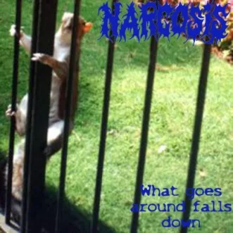 What Goes Around Falls Down cover