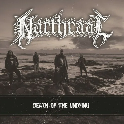 Death of the Undying cover