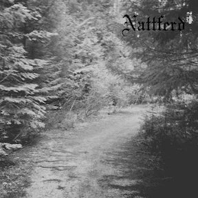 Journey Through a Path in the Woods cover