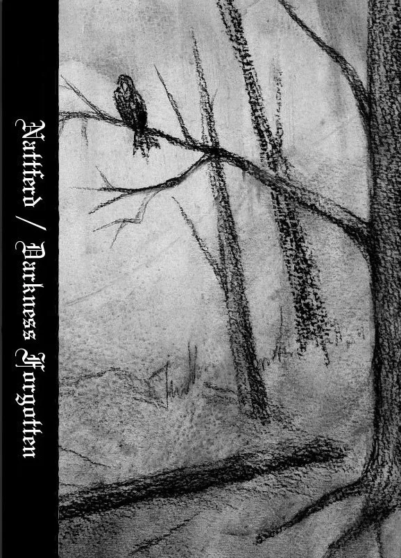 Darkness Forgotten cover