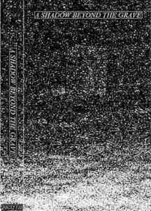 A Shadow Beyond the Grave cover