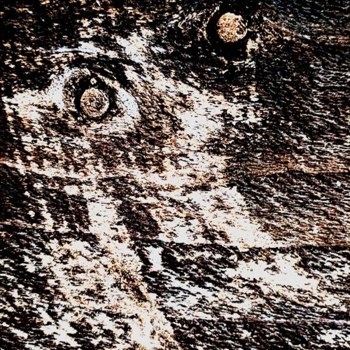 Apati cover