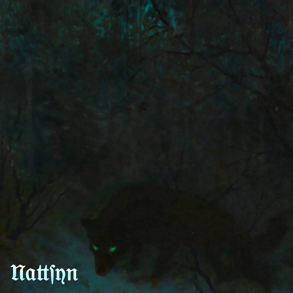 Nattsyn cover