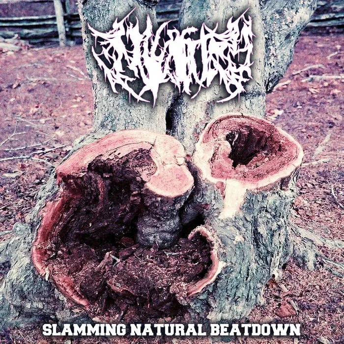 Slamming Natural Beatdown cover