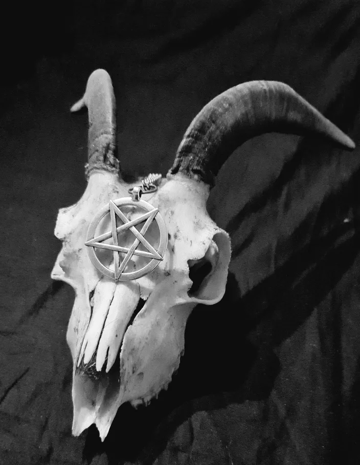 Satanic Witch cover