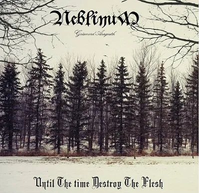 Until Time Destroy the Flesh cover