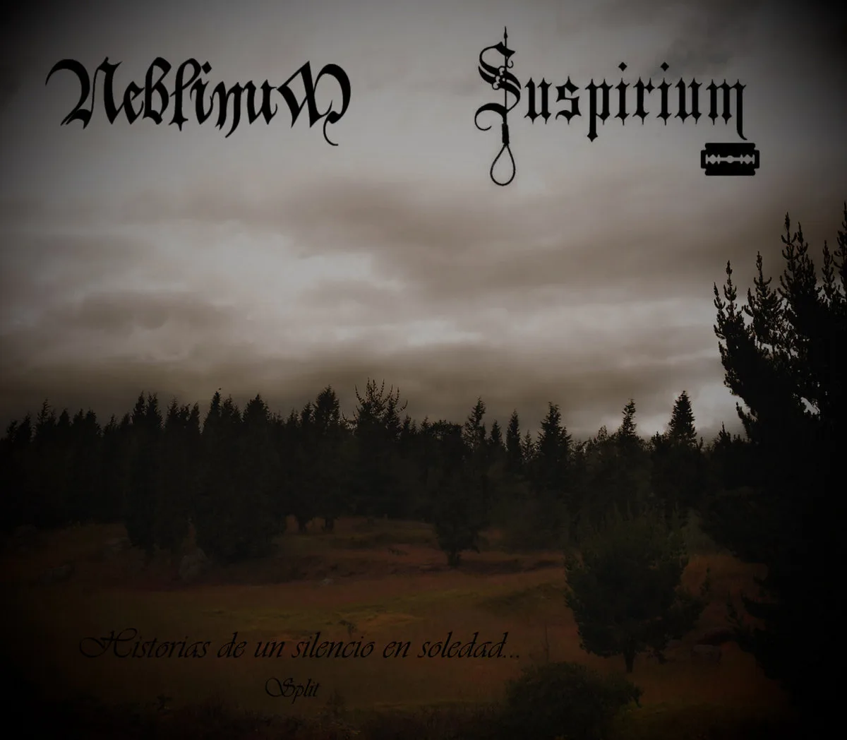 Historias de un silencio en soledad cover