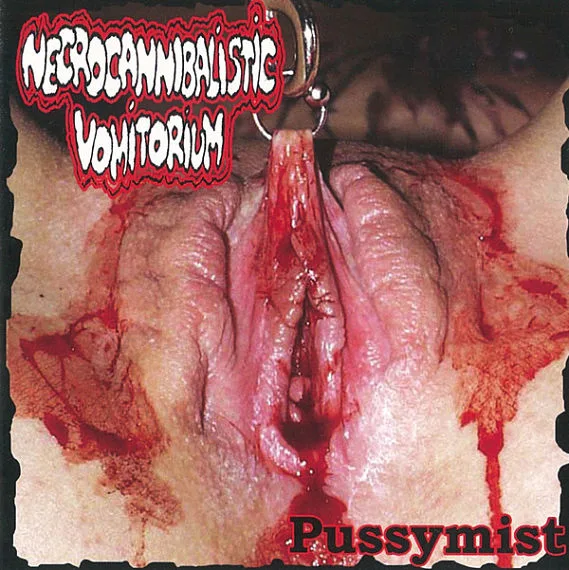Pussymist cover
