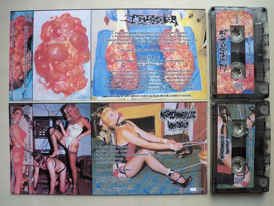 Infester / Necrocannibalistic Vomitorium cover