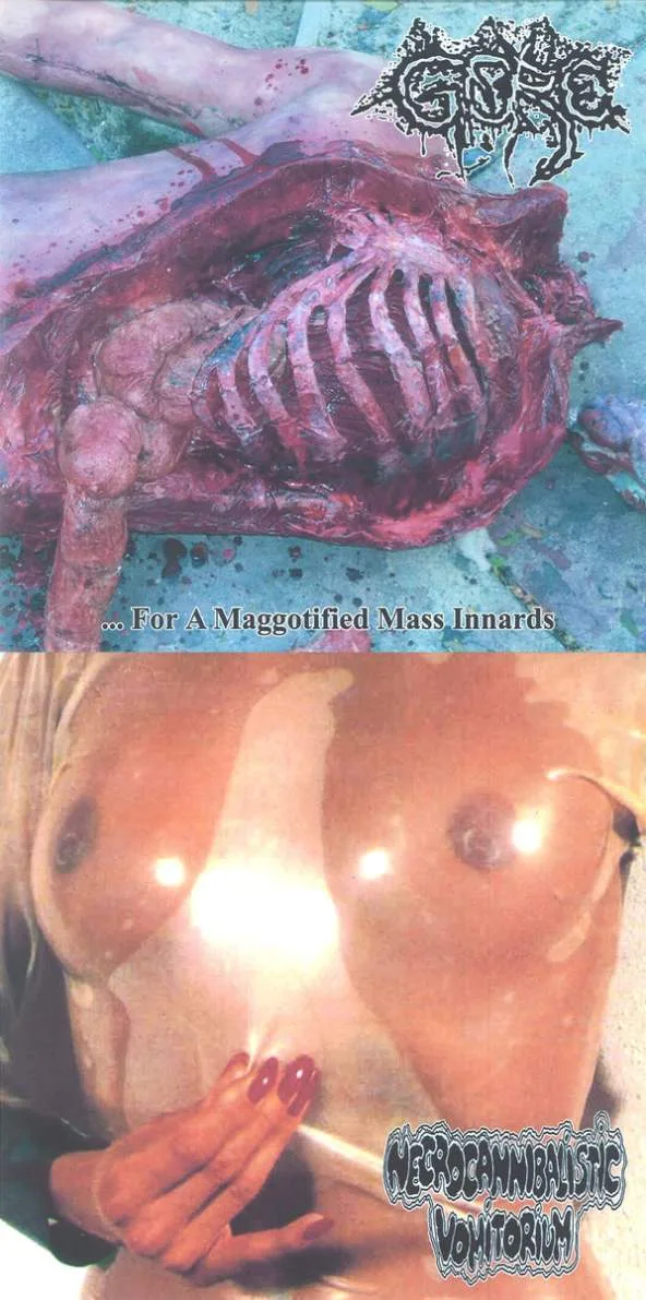 ...for a Maggotified Mass Innards / Untitled cover