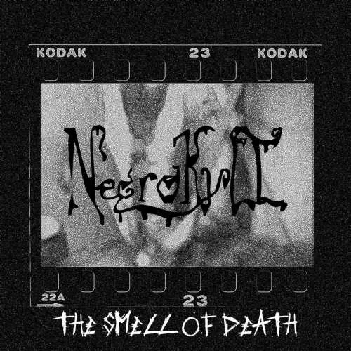 The Smell of Death cover