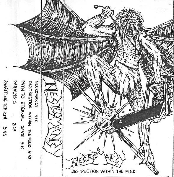 Destruction Within the Mind cover
