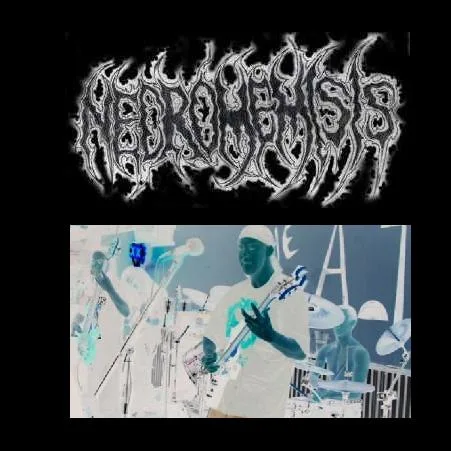 Necromemisis cover