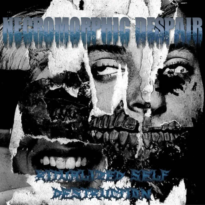 Ritualized Self Destruction cover