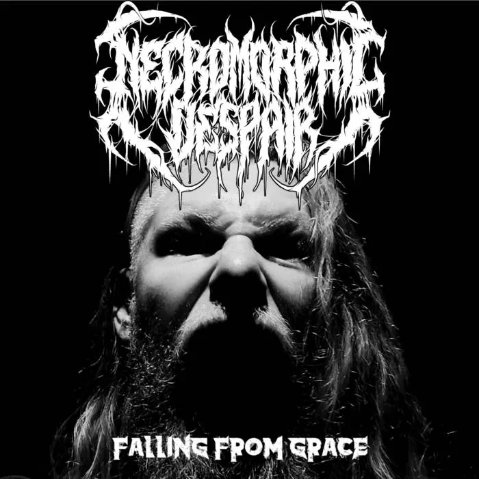 Falling from Grace cover