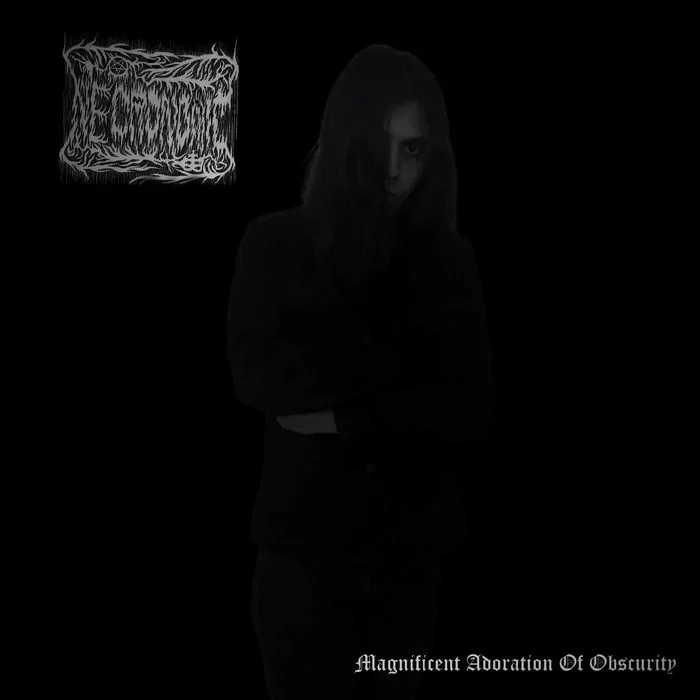 Magnificent Adoration of Obscurity cover