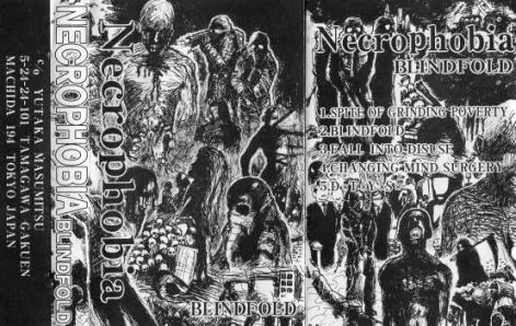 Blindfold cover