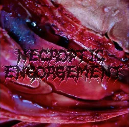 Necroptic Engorgement cover