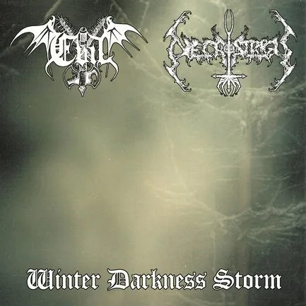 Winter Darkness Storm cover