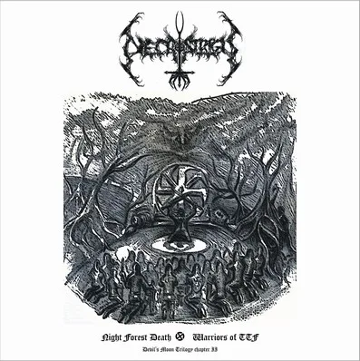 Night Forest Death - Warriors of TTF cover