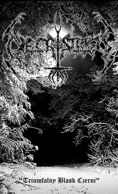 Triumfalny blask czerni cover