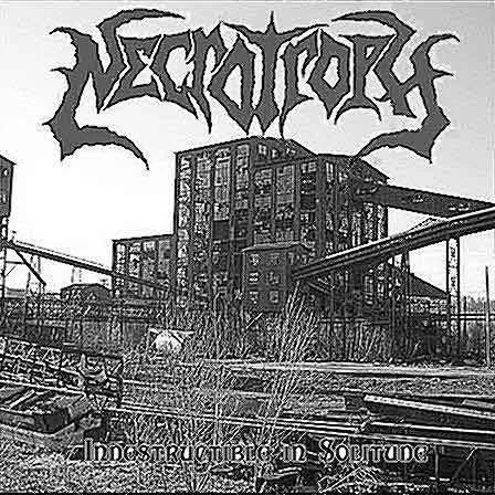 Indestructible in Solitude cover