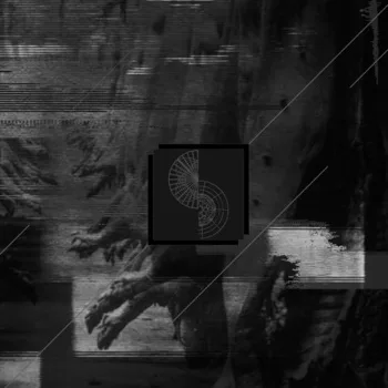 Negative Standards / Whitehorse cover