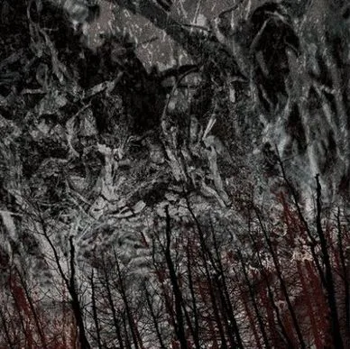 Nekrasov / Ondo cover