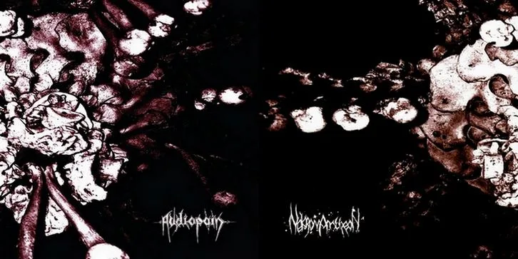 Audiopain / Nekromantheon cover