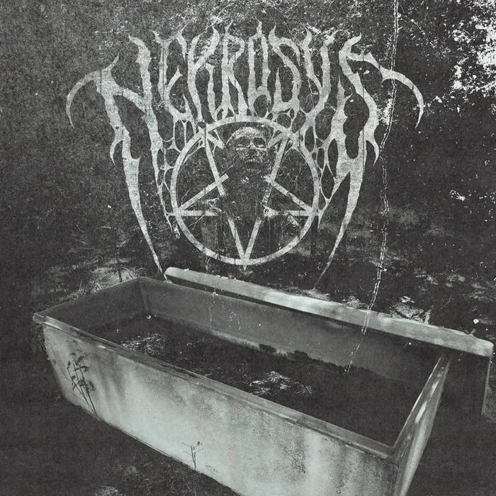 Promo 2024 cover