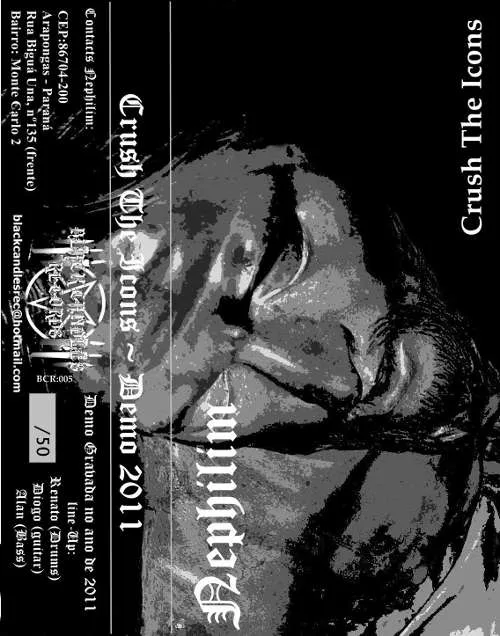 Crush the Icons cover