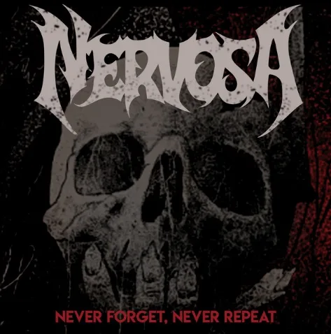 Never Forget, Never Repeat cover