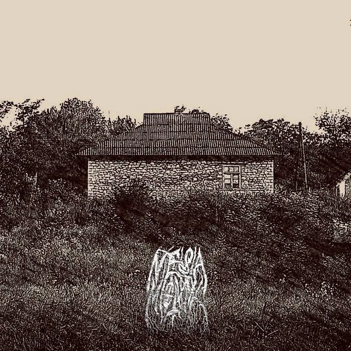 Nebel im letzten Jahrhundert unvergesslicher Verzweiflung cover