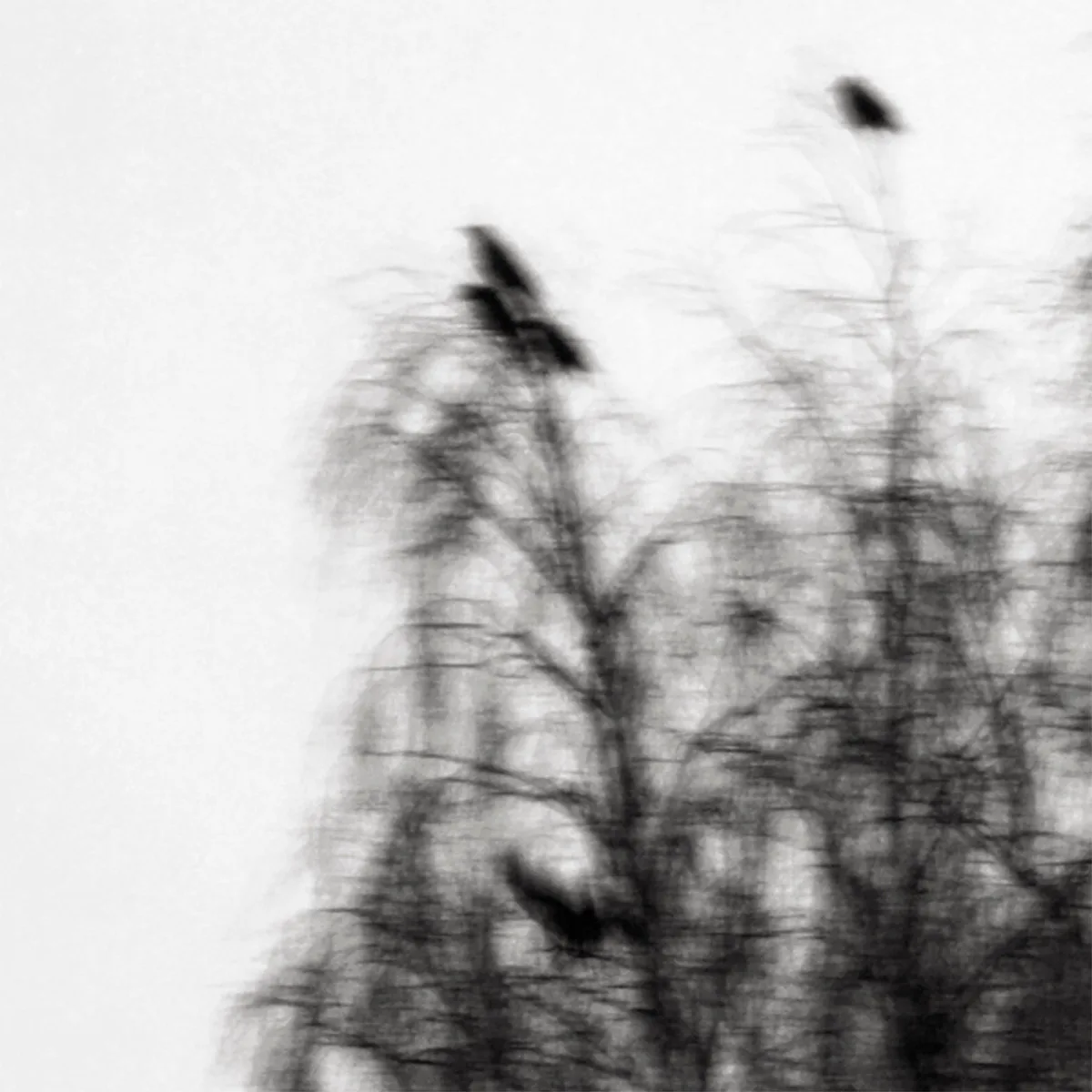 Phantom Tongue cover