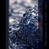 The Last Divination cover