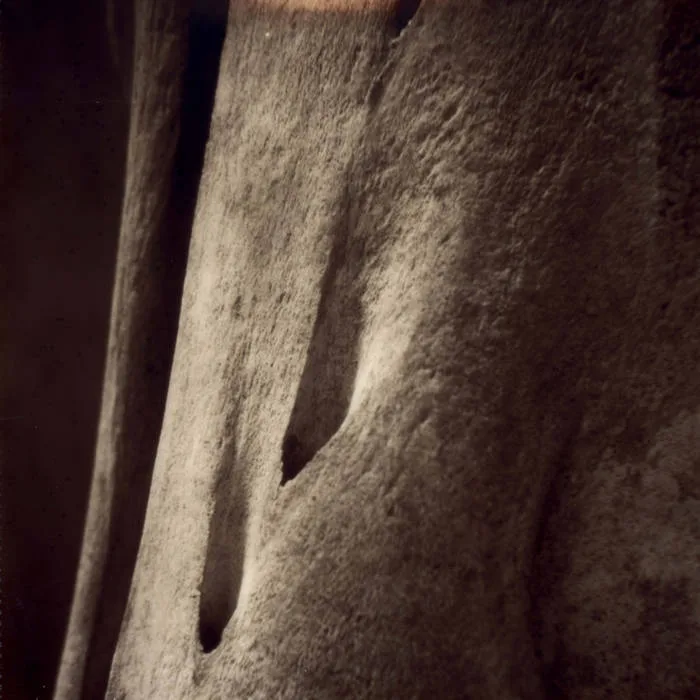 Towards Belief cover