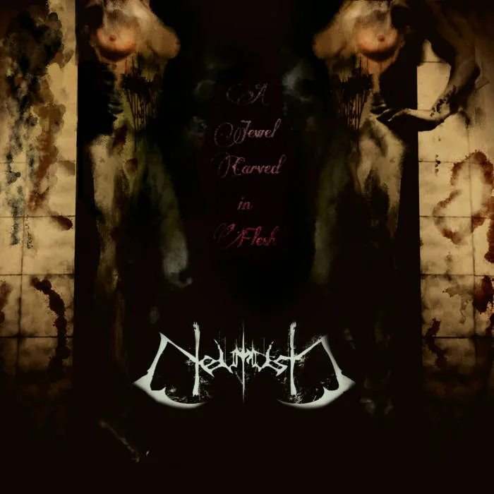 A Jewel Carved In Flesh cover