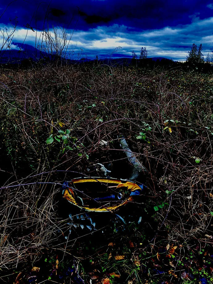 Diurnal Rhythms cover